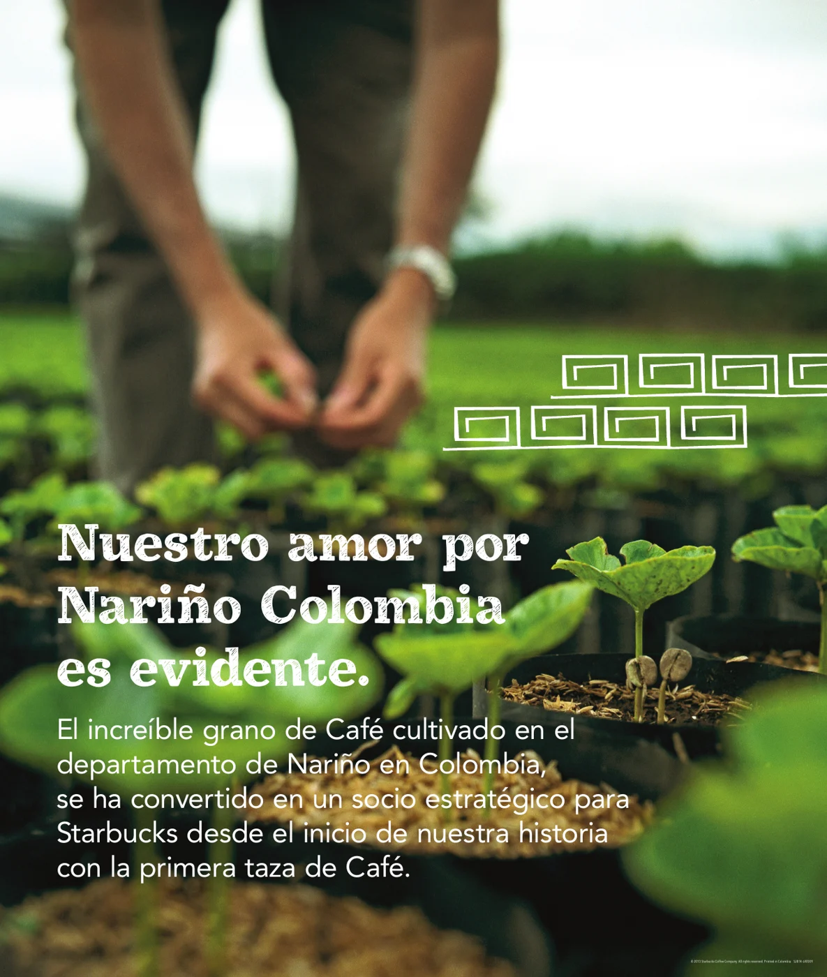 Nariño
