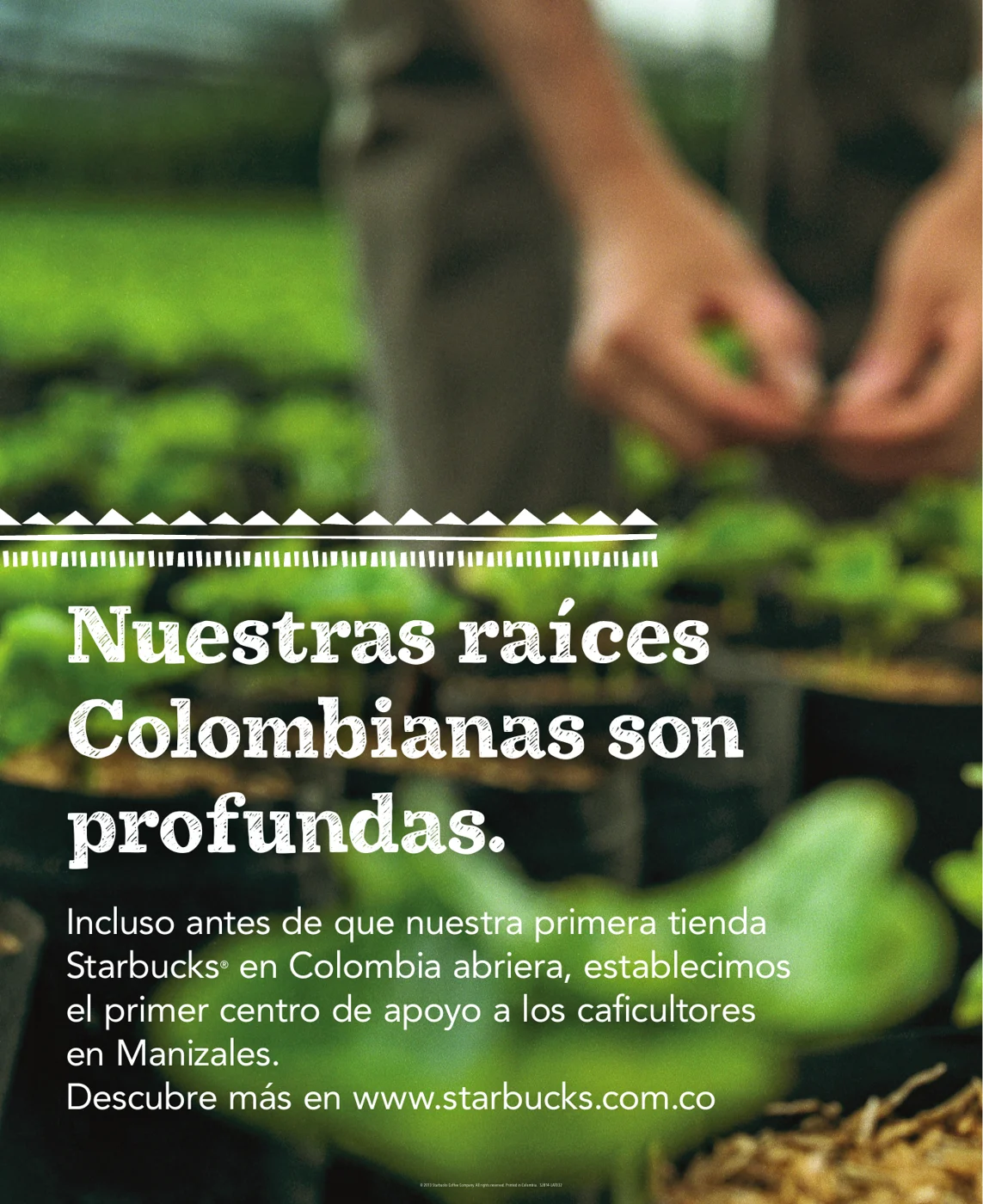 Raíces colombianas