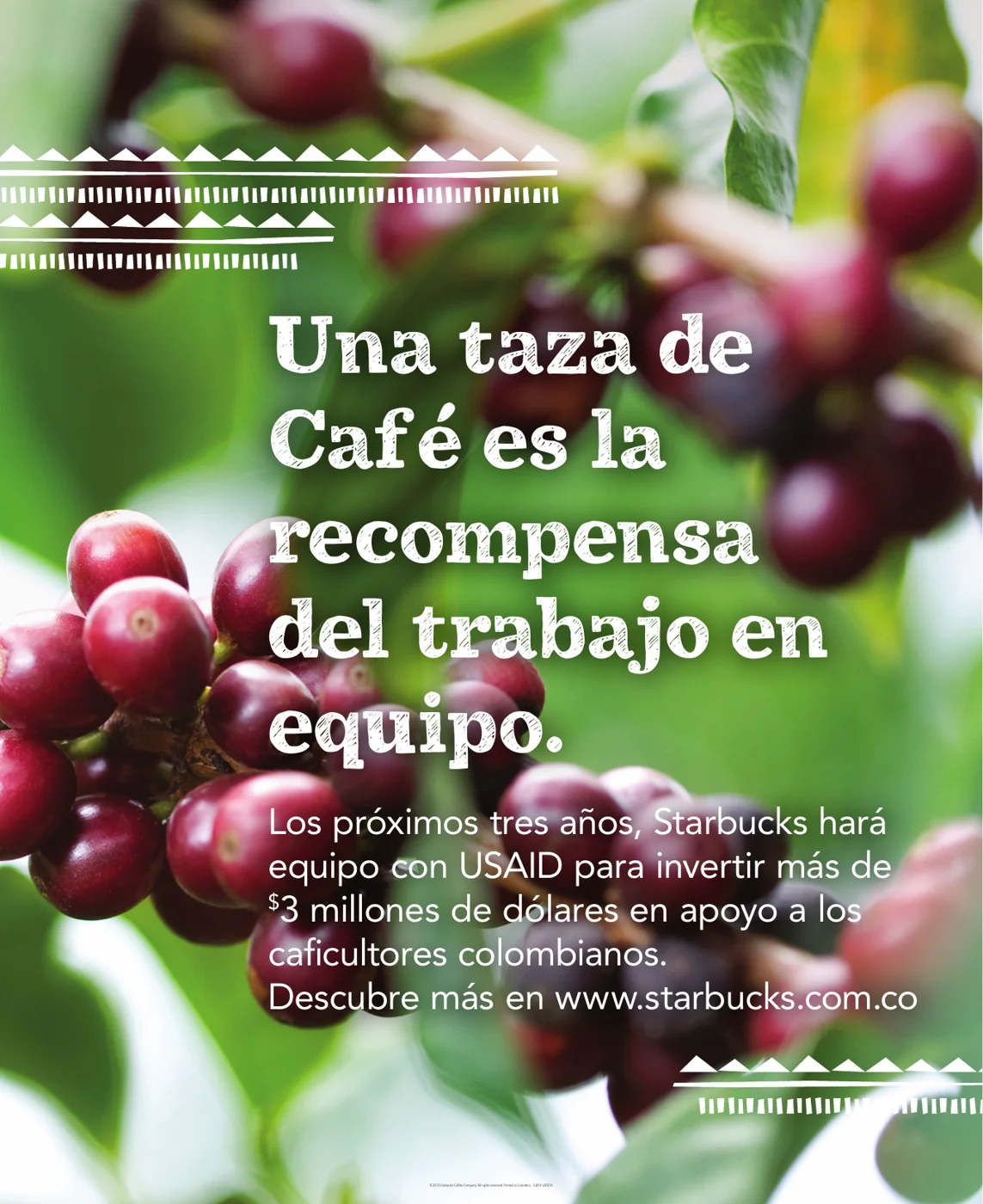 A cup of coffee is a team work